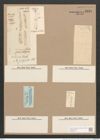 Pleurosigma eximium (Thwait.) (de-Toni-Nr.: Genus 13, Species 1097) Zeichnungen Sammlung Grunow Nr. 2134 (NHMW-BOT-W0369172)